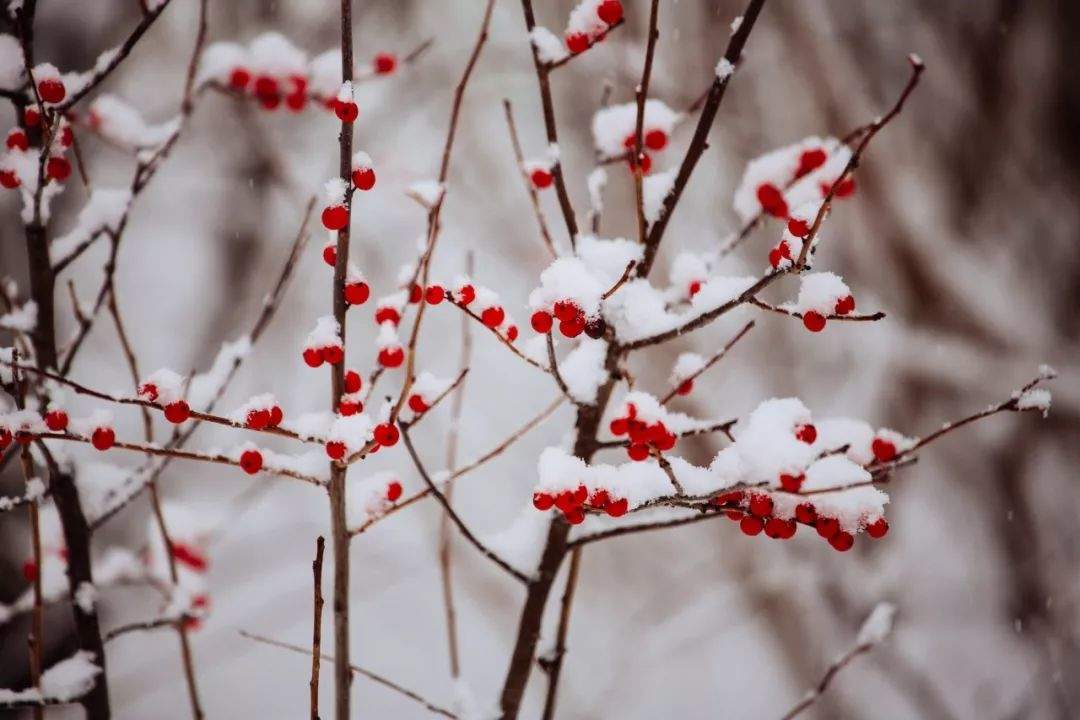 冬至诗词赏析10首，带你了解诗人的冬至情怀