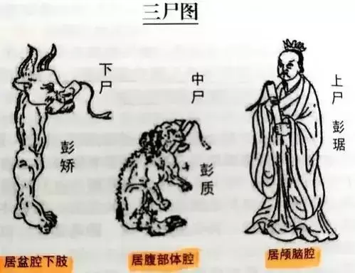 大司命东华帝君，统三十五司命，掌人间生死，察世间善恶