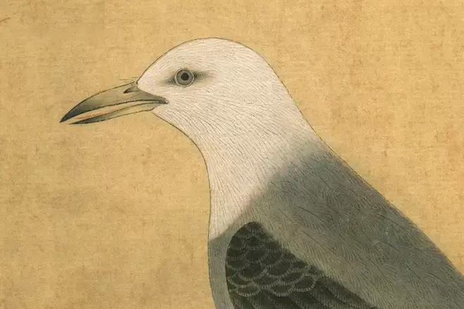 中国名画黄筌《写生珍禽图》赏析：展现了五代时期画史的道路