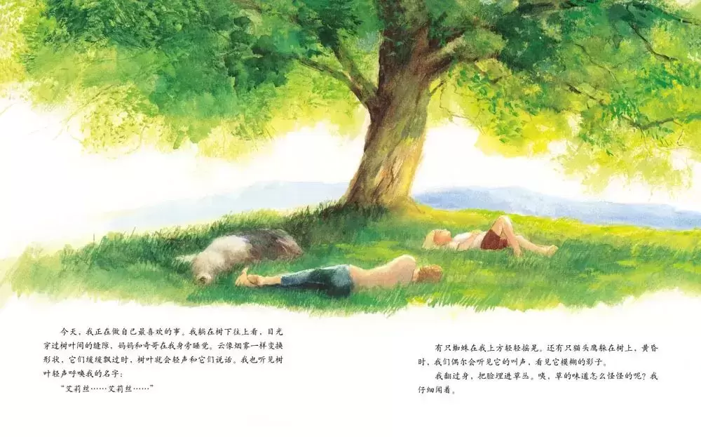 儿童绘本故事《艾莉丝的树》