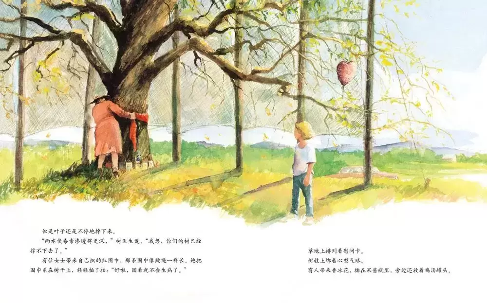 儿童绘本故事《艾莉丝的树》