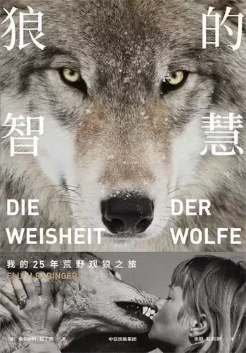 关于狼的小说