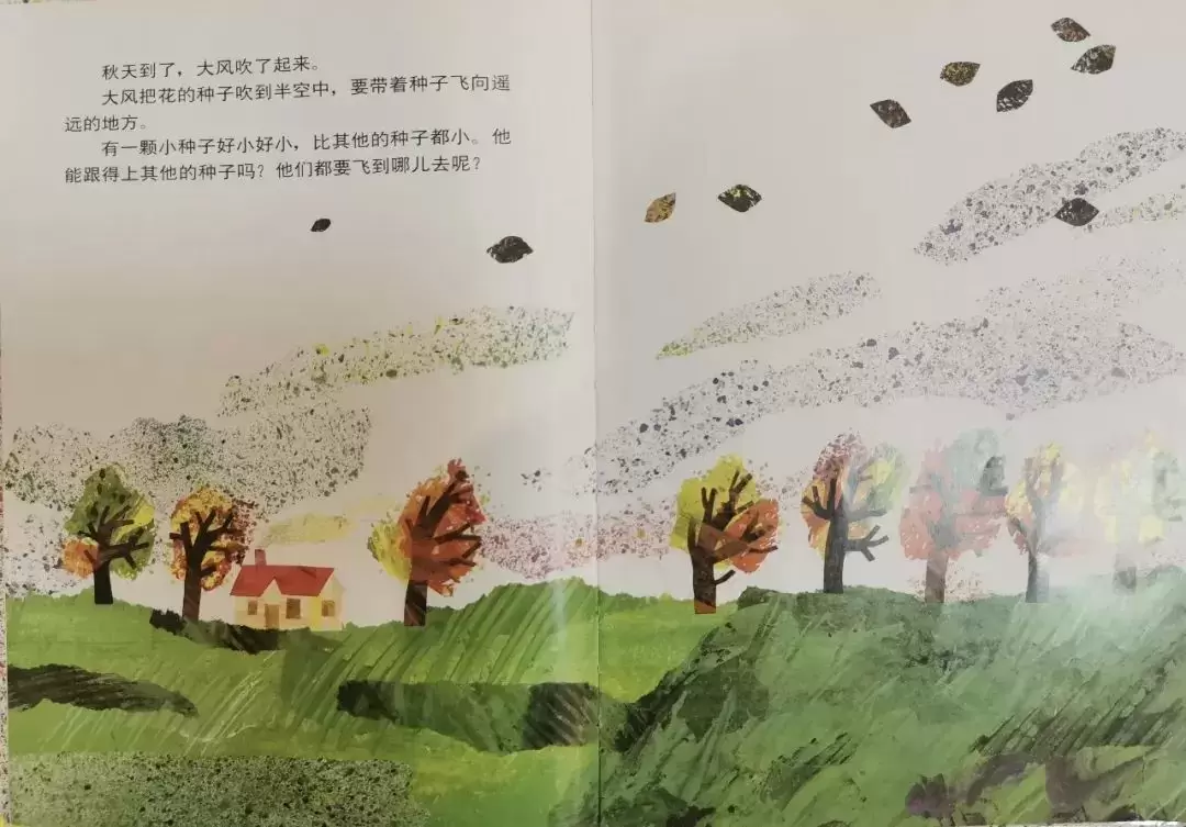儿童绘本故事《小种子》