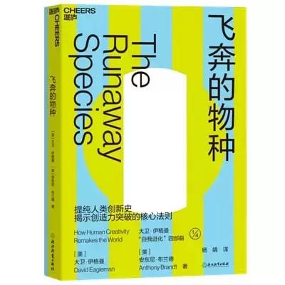 7本关于心流、创造力和幸福的好书