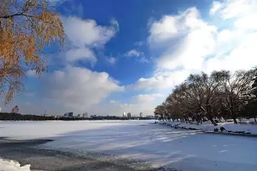 十五首关于雪晴的诗词，日映满窗松竹影，雪消并舍鸟乌声。