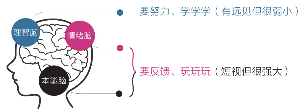 《认知觉醒》读后感（认知觉醒经典语录摘抄50句）