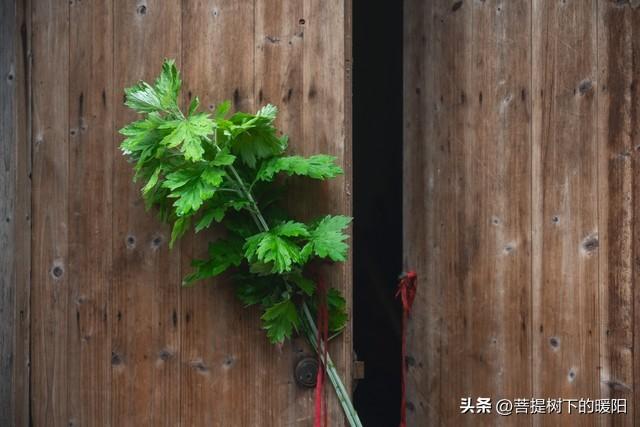 端午节艾草挂门上是什么意思