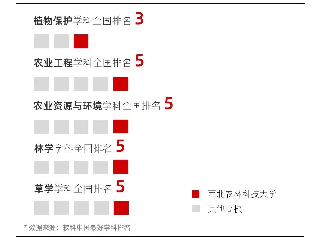 山东考生最好考的6所985大学