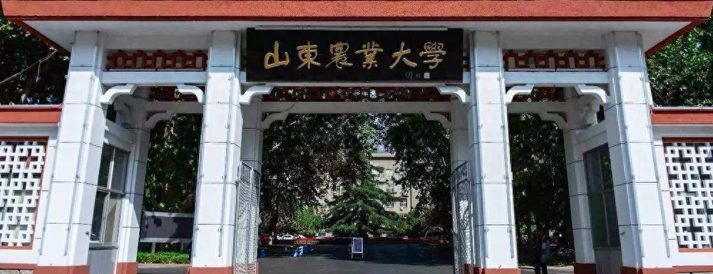 山东的大学有哪些学校（一分钟快速了解山东高校）