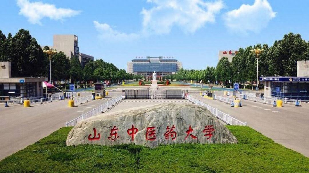 山东的大学有哪些学校（一分钟快速了解山东高校）