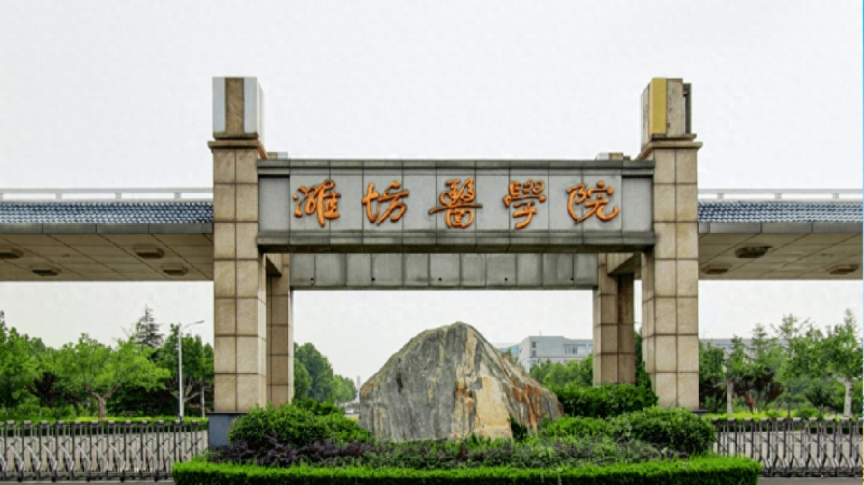 山东的大学有哪些学校（一分钟快速了解山东高校）