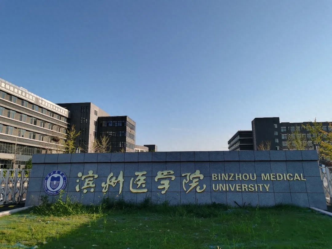 山东的大学有哪些学校（一分钟快速了解山东高校）