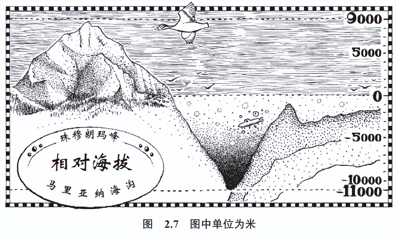 数学思维怎么培养？《数学的雨伞下》讲透了数学的本质