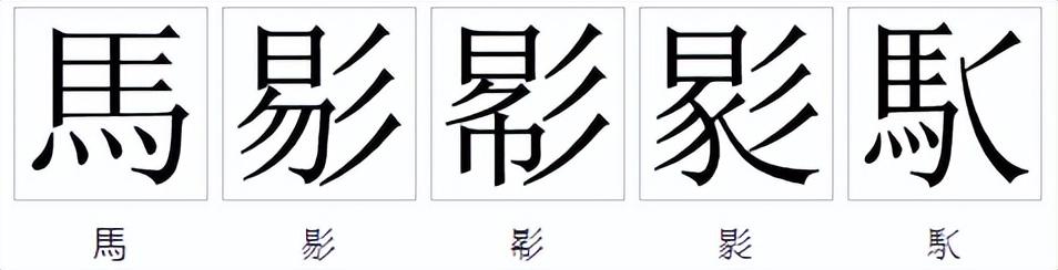 说文解字：含有「马」的汉字都和马有关系吗？