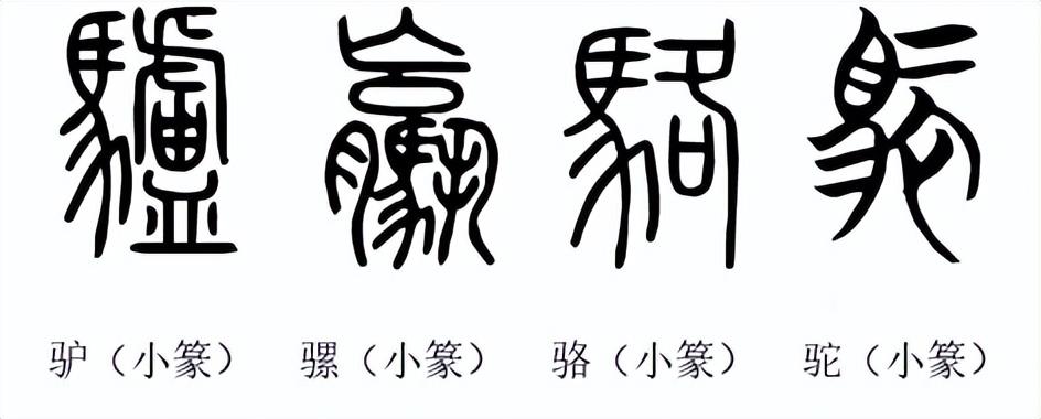 说文解字：含有「马」的汉字都和马有关系吗？