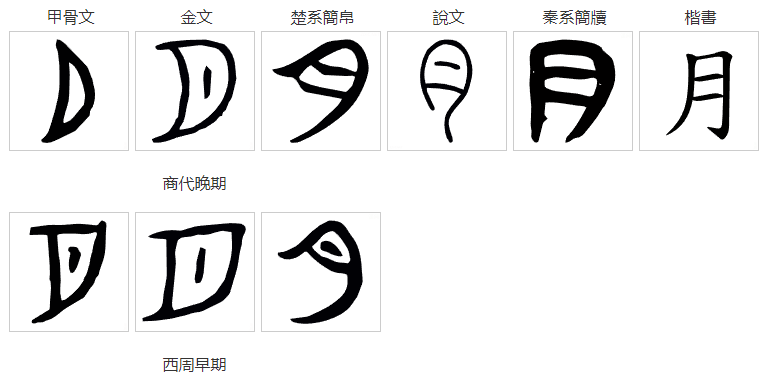 说文解字：肯、胡、胭、肖、胤和“月”有什么关系？