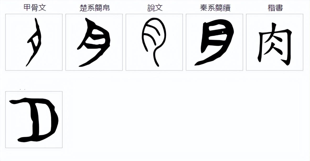 说文解字：肯、胡、胭、肖、胤和“月”有什么关系？