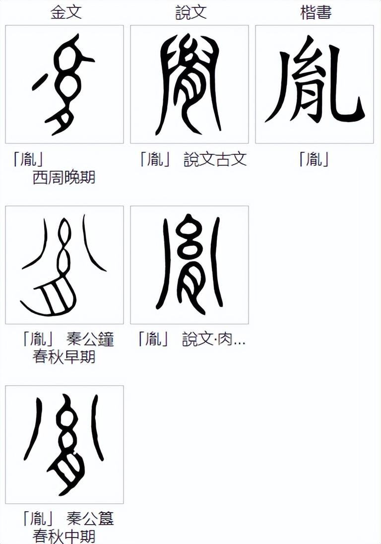 说文解字：肯、胡、胭、肖、胤和“月”有什么关系？