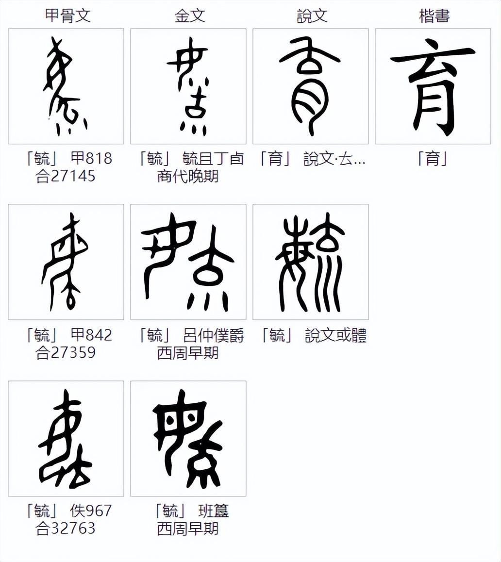 说文解字：肯、胡、胭、肖、胤和“月”有什么关系？