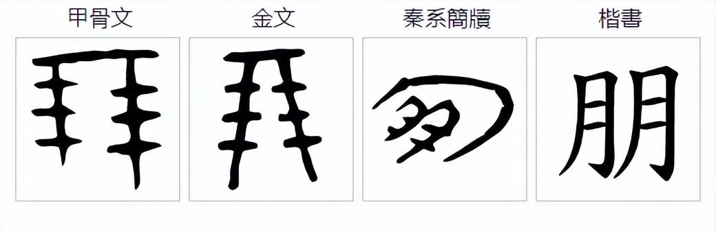 说文解字：肯、胡、胭、肖、胤和“月”有什么关系？