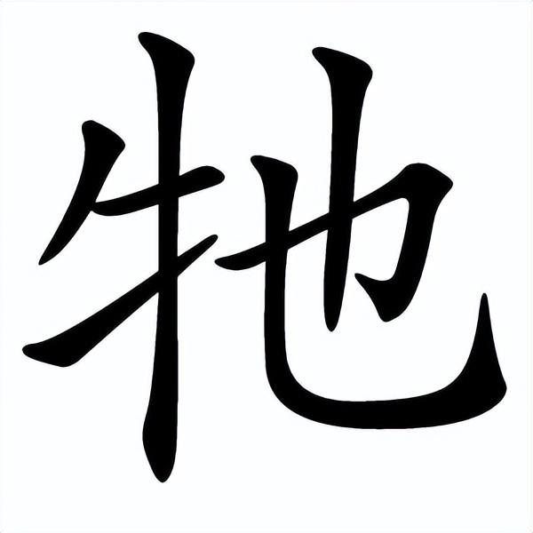 咬文嚼字“他、她、祂、牠、怹、它”