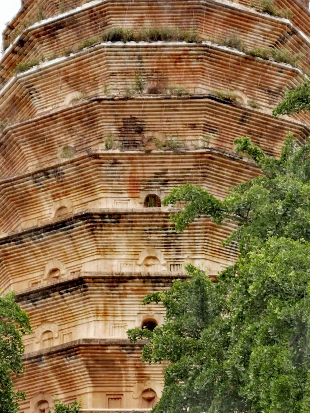 中国文物介绍及图片：北魏嵩岳寺塔