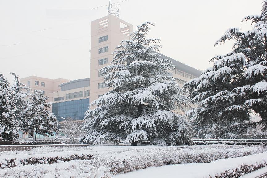 临沂大学：亚洲单体面积最大，导航上课，校园异地恋！