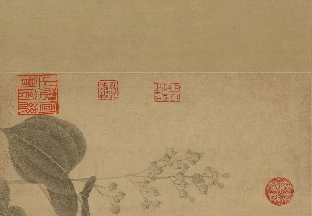 中国古代名画鉴赏：《百花图卷》