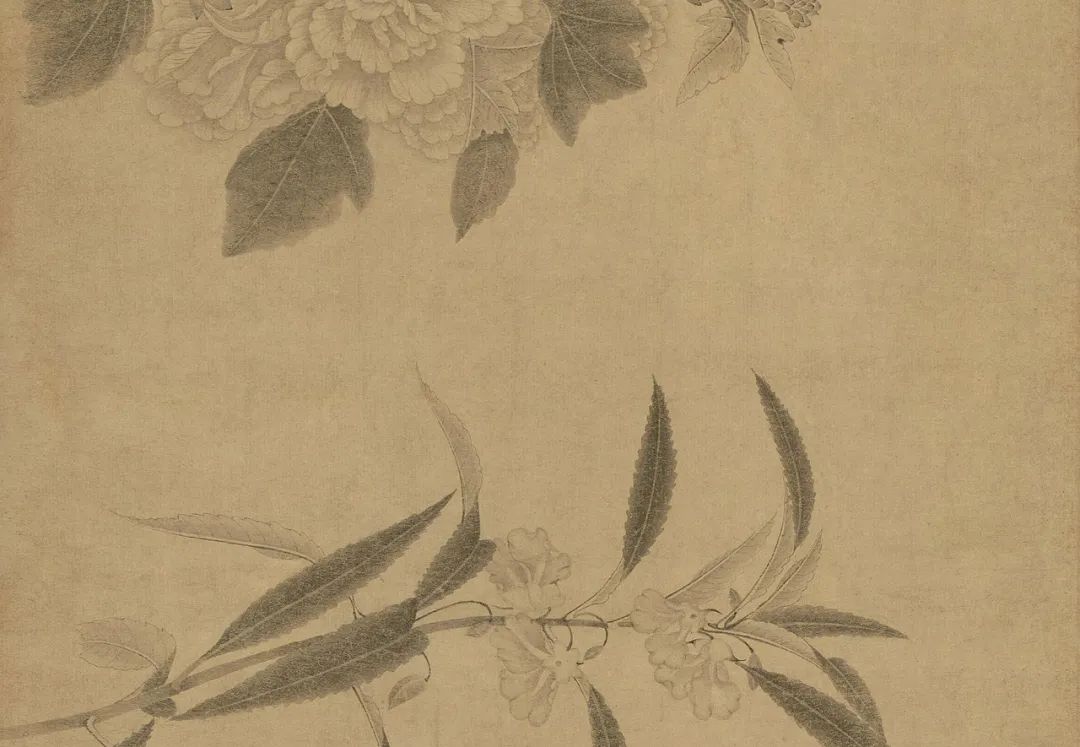 中国古代名画鉴赏：《百花图卷》