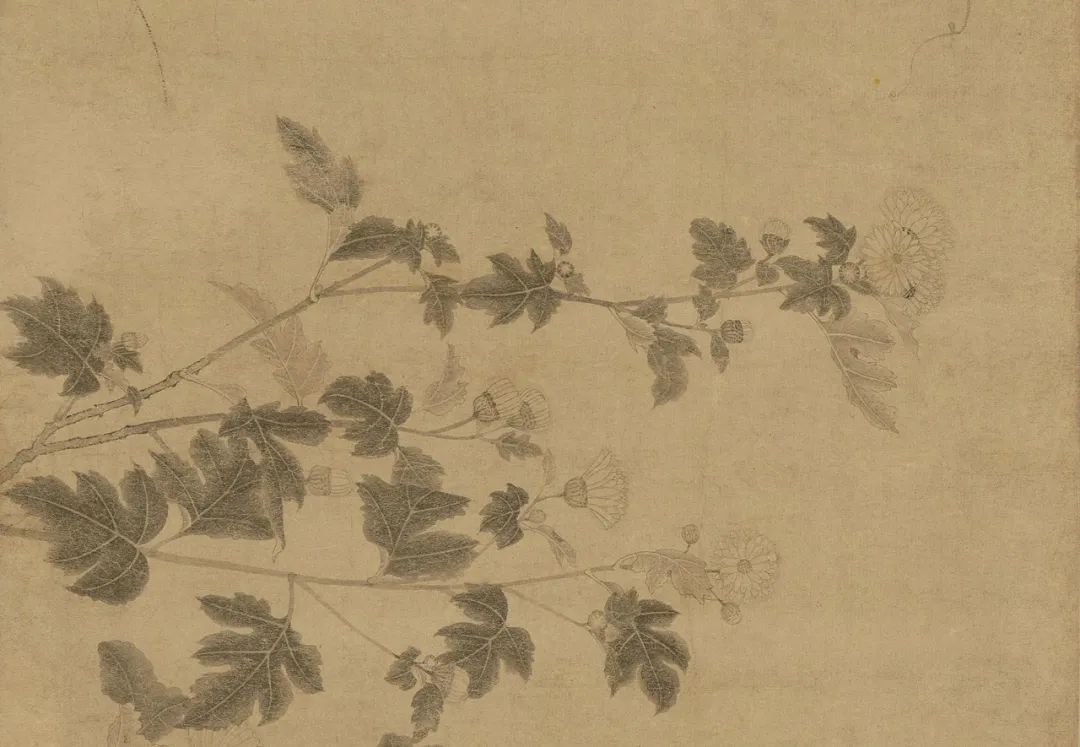 中国古代名画鉴赏：《百花图卷》