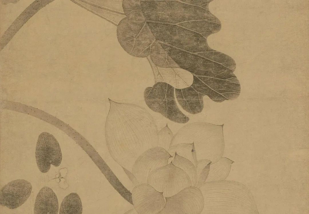 中国古代名画鉴赏：《百花图卷》