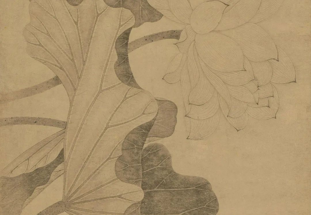 中国古代名画鉴赏：《百花图卷》