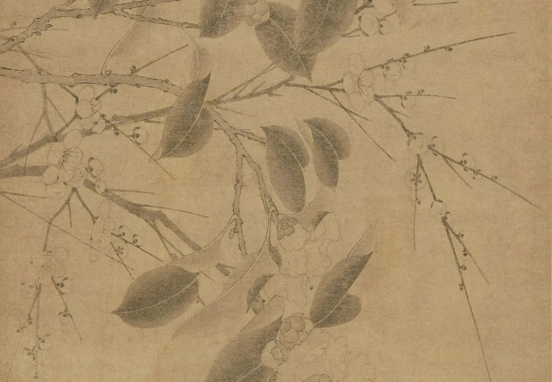 中国古代名画鉴赏：《百花图卷》