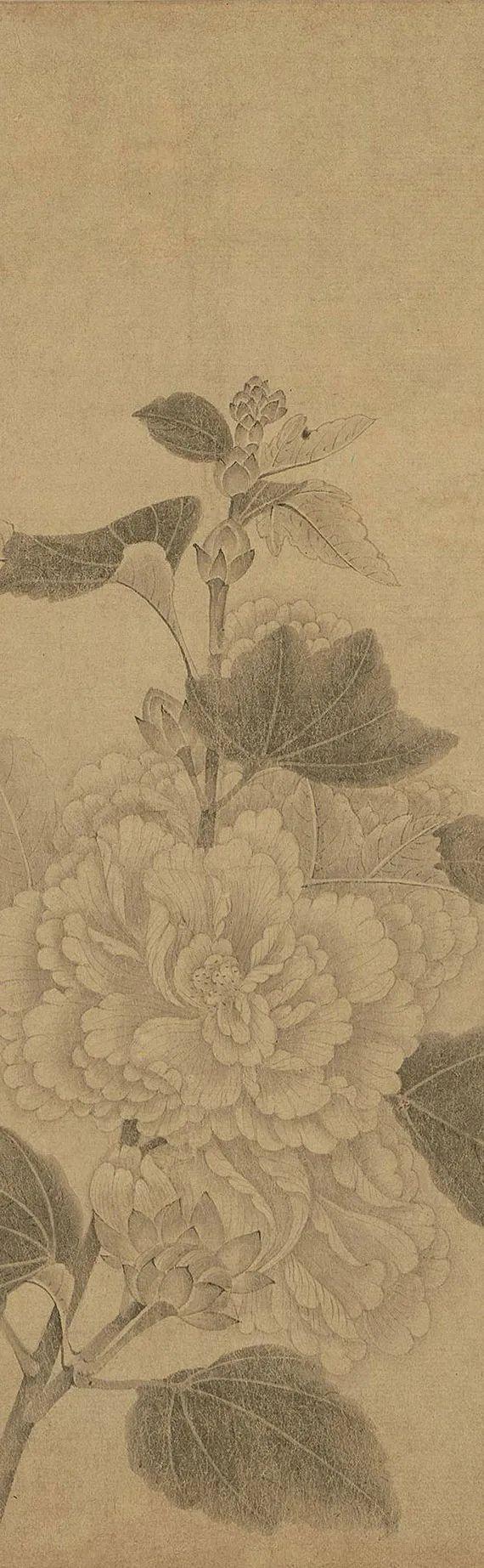 中国古代名画鉴赏：《百花图卷》