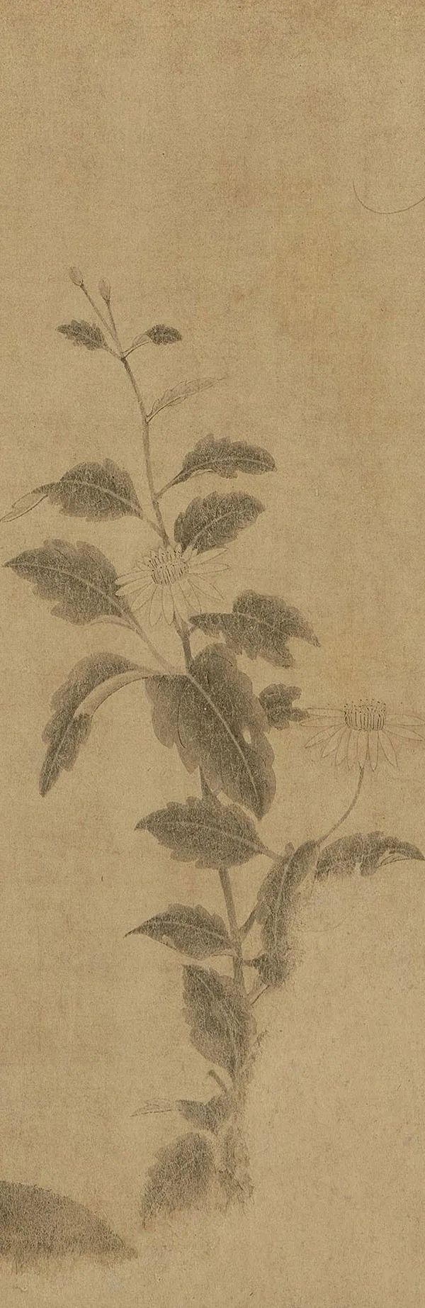 中国古代名画鉴赏：《百花图卷》