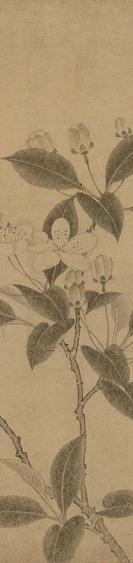 中国古代名画鉴赏：《百花图卷》