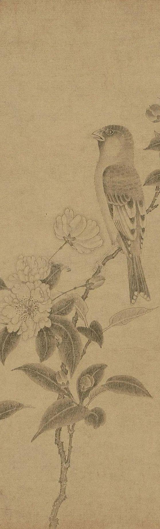 中国古代名画鉴赏：《百花图卷》