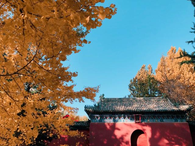 《我与地坛》深意解读：史铁生笔下的生命哲思，非地坛之景