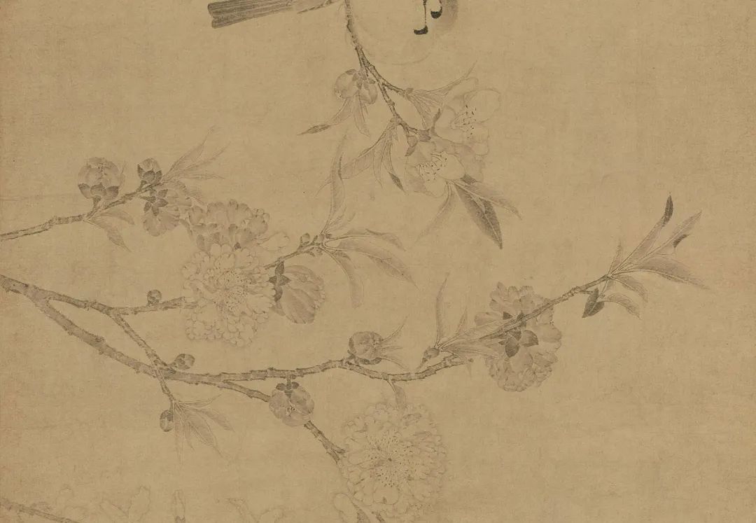 中国古代名画鉴赏：宋代《百花图卷》