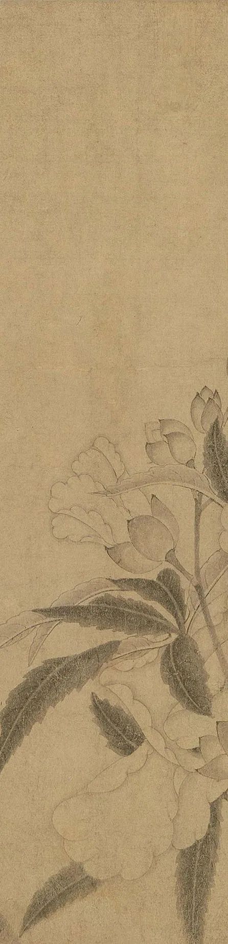 中国古代名画鉴赏：宋代《百花图卷》