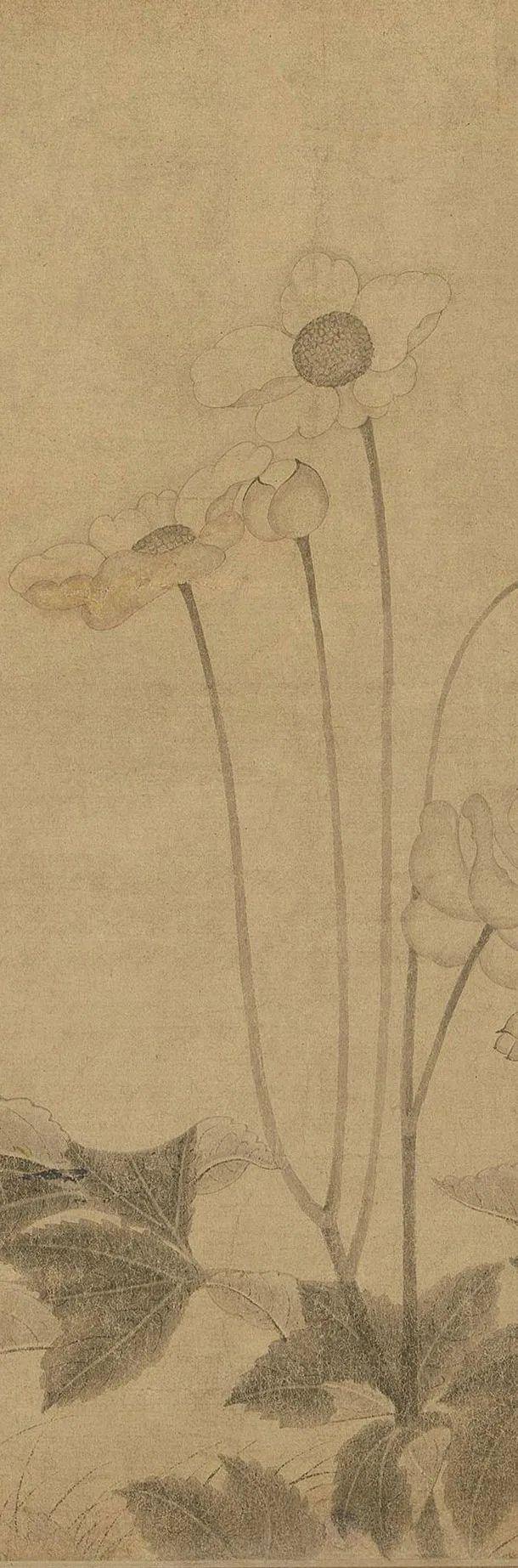 中国古代名画鉴赏：宋代《百花图卷》