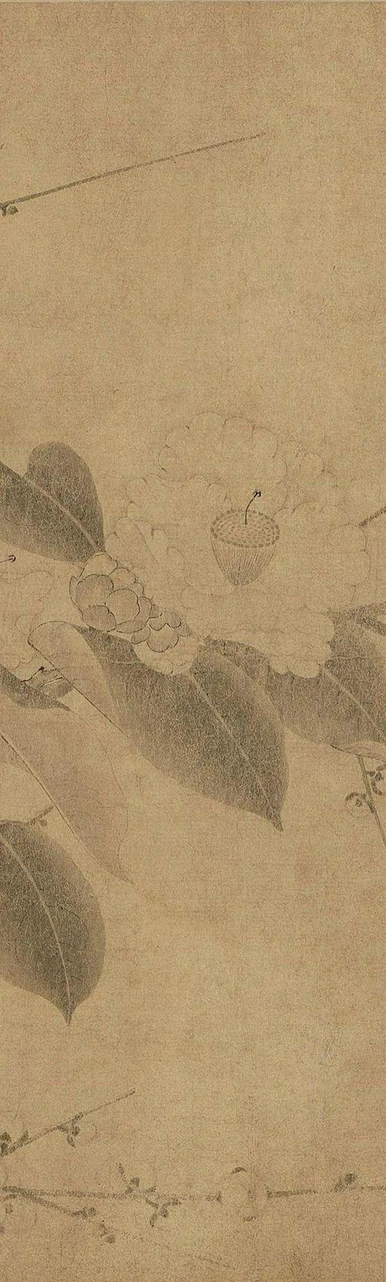 中国古代名画鉴赏：宋代《百花图卷》