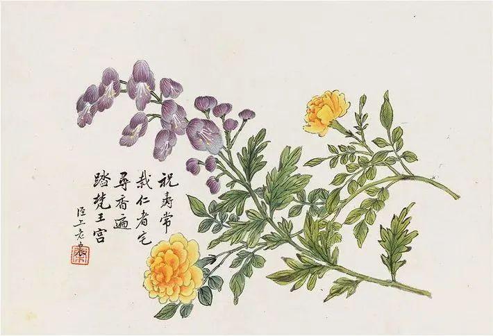 中国古代名画鉴赏：董棨《花鸟册》