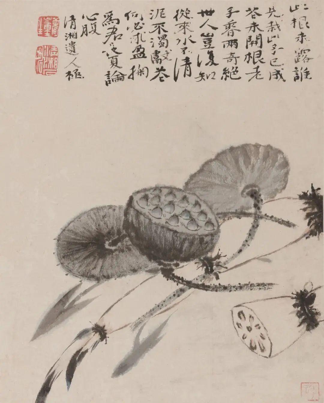 中国古代名画鉴赏：石涛《花果图册》