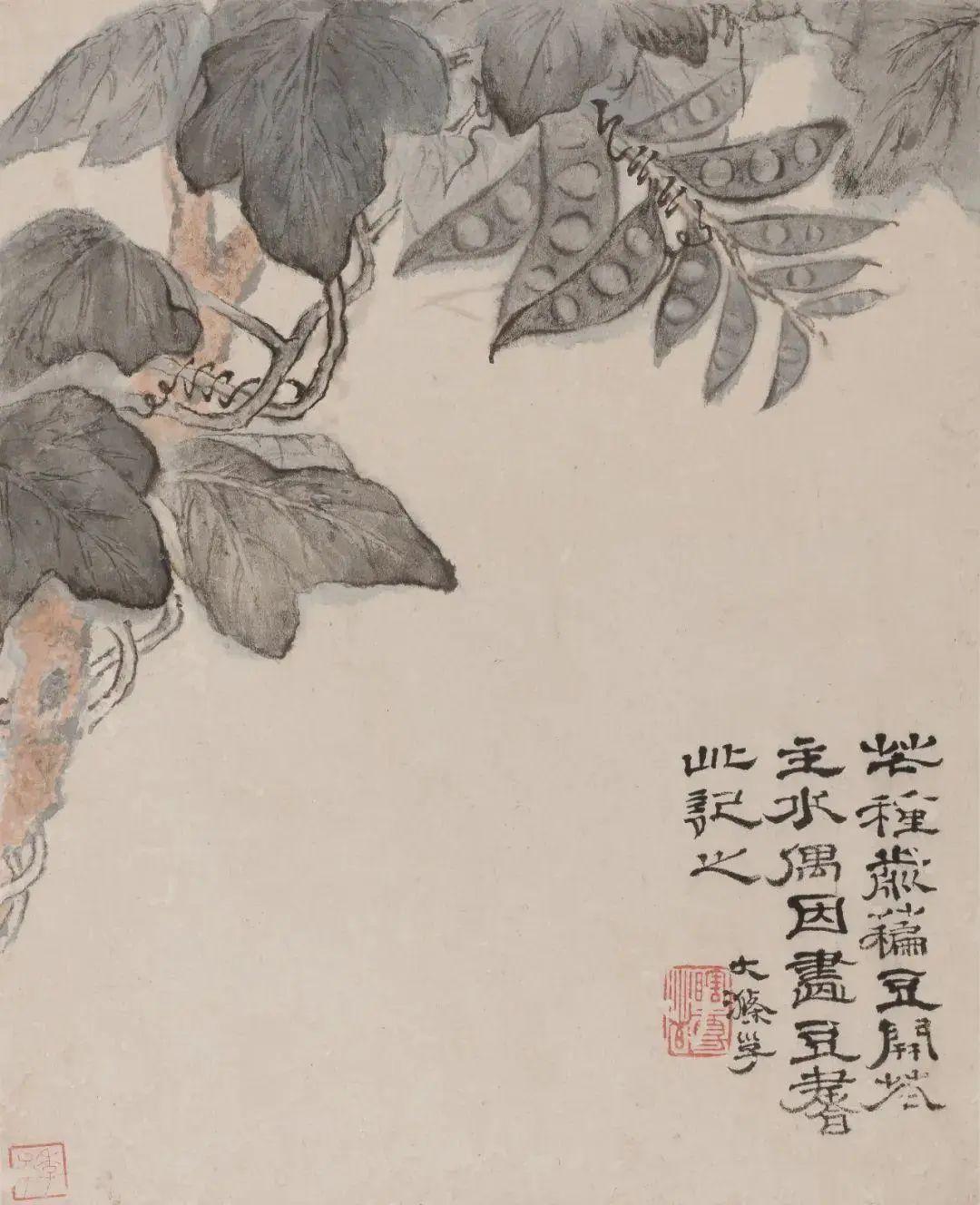 中国古代名画鉴赏：石涛《花果图册》