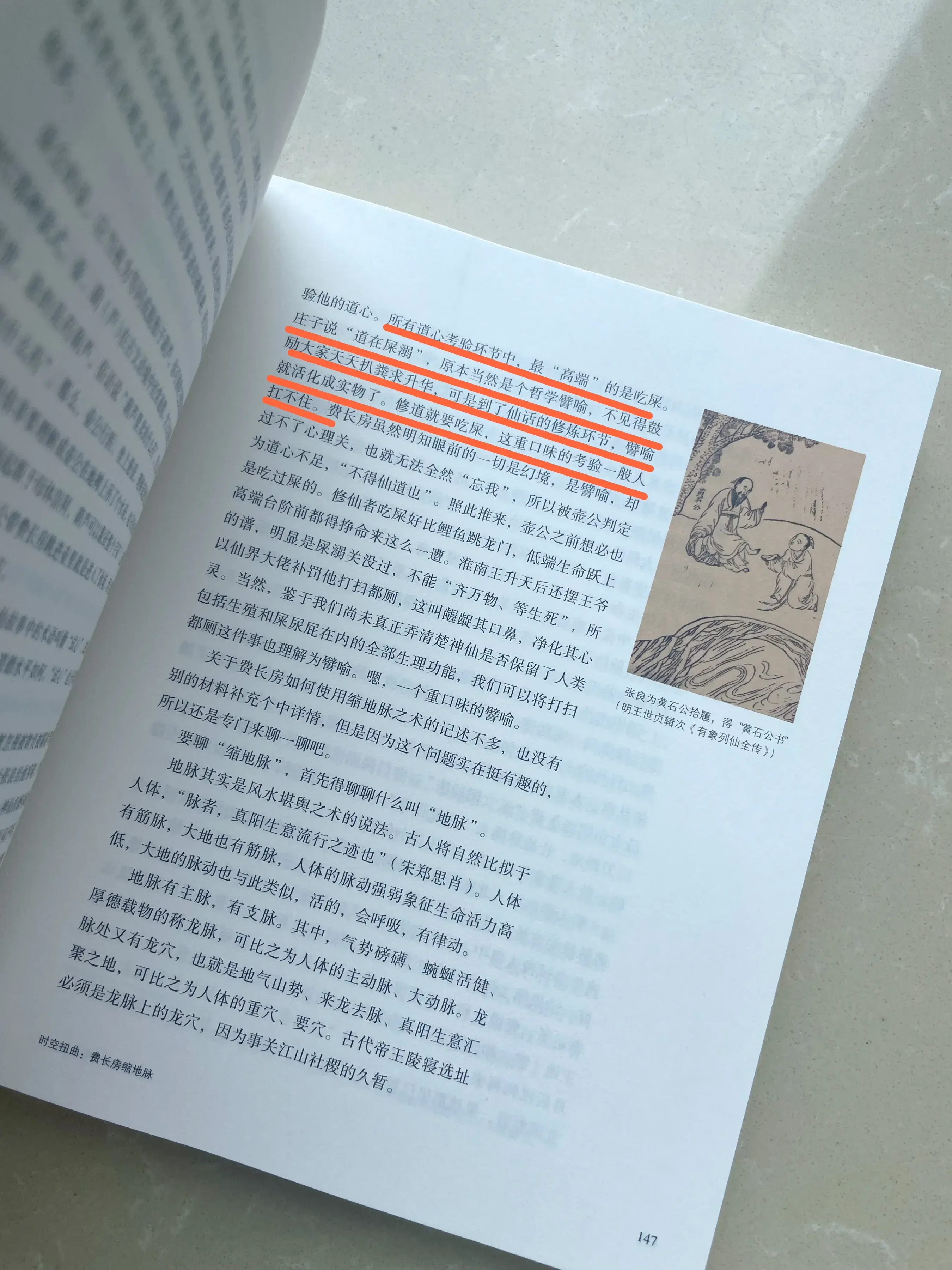 《诸仙纪》：绝美修仙指南，奇幻旅程引人入胜，不容错过！