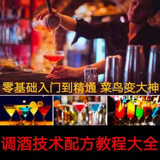 鸡尾酒调酒课程，各种酒配方技术，品酒演示（教学视频）